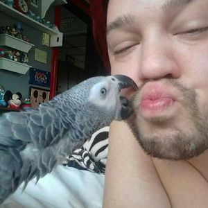 Meet your Posher, Nene